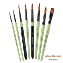 Load image into Gallery viewer, Natura Illustrata X Craftamo