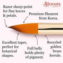 Load image into Gallery viewer, BLOOM™ by Craftamo | Wedge Paint Brushes