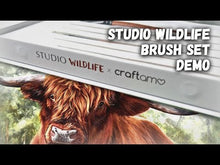 Load and play video in Gallery viewer, Studio Wildlife X Craftamo