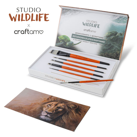 Studio Wildlife X Craftamo