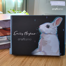 Load image into Gallery viewer, Emily Hughes X Craftamo Gouache Class in a Box
