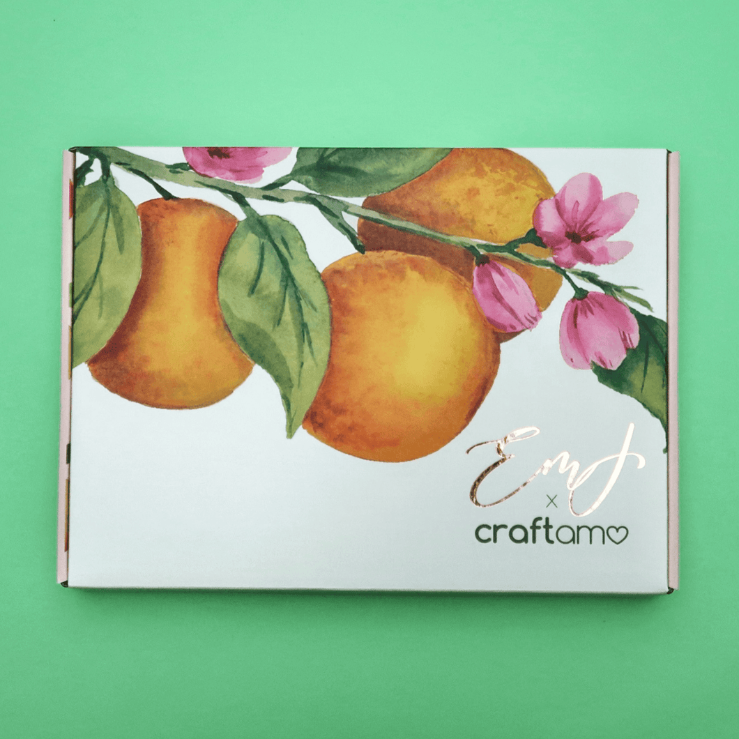 Emma Lefebvre X Craftamo / Paint With Emma June Box