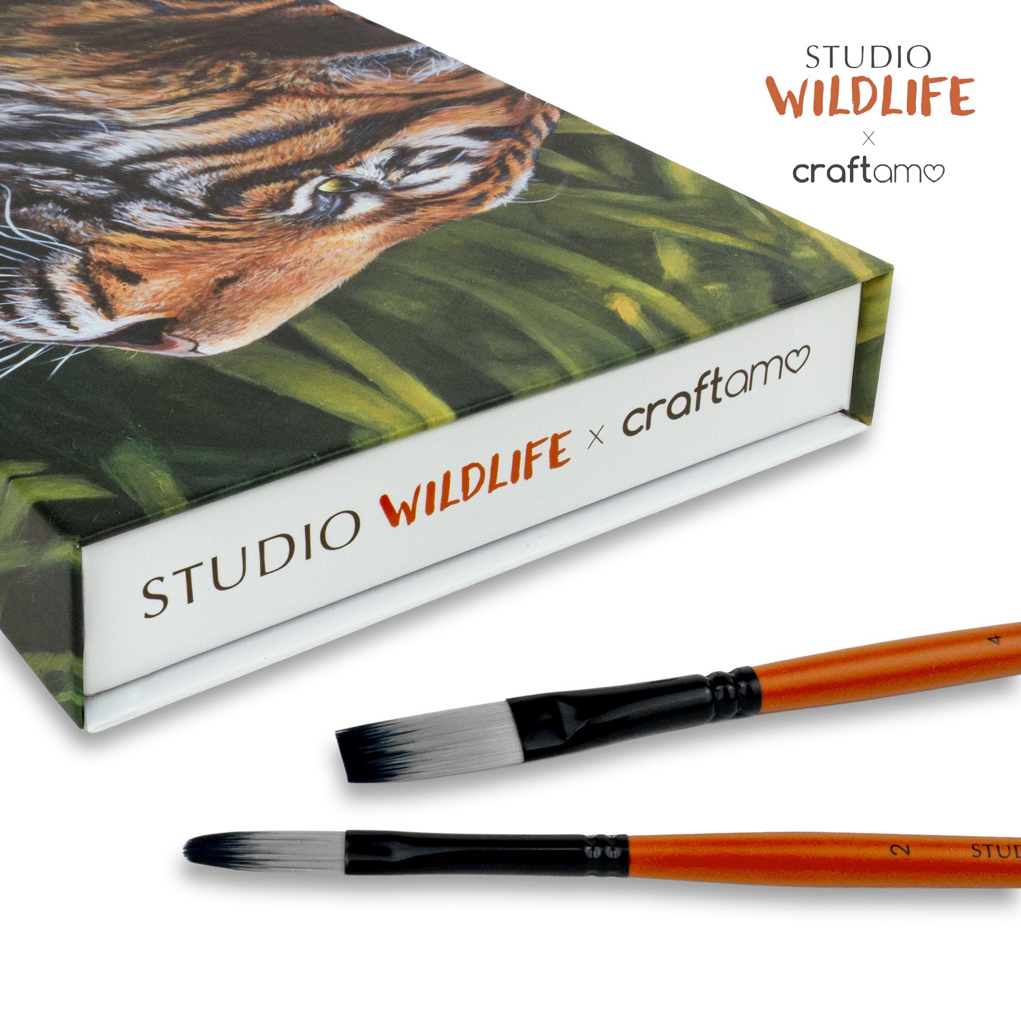 Natura Illustrata X Craftamo