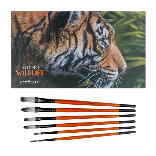Studio Wildlife X Craftamo | The Precision Collection